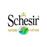 Schesir