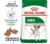 Royal Canin Mini adult 2kg