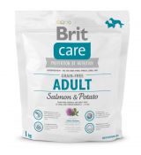 BRIT Care Adult Salmon Grain-free 1kg