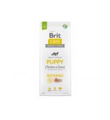 BRIT PUPPY CHICKEN INSECT 12kg