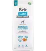 Brit Care Dog Grain-free Junior Large Breed Salmon 12 kg
