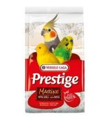 Versele Laga Shell Sand Premium Marine - biely piesok s anízom 5kg